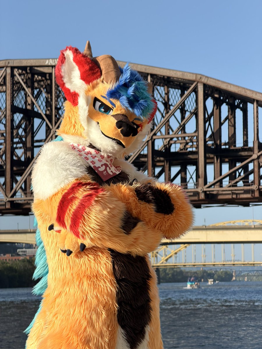 KodaKeijin's tweet photo. Anthrocon this year was extremely special for me. My 13 year-old self who watched con videos halfway across the world would not believe that one day he’d prance around DLCC in his own fursuit. 

Yet here we are! Thank you everyone for showing me so much love!! 🧡 

🧵: @furmony https://t.co/uBb7jEwXIU