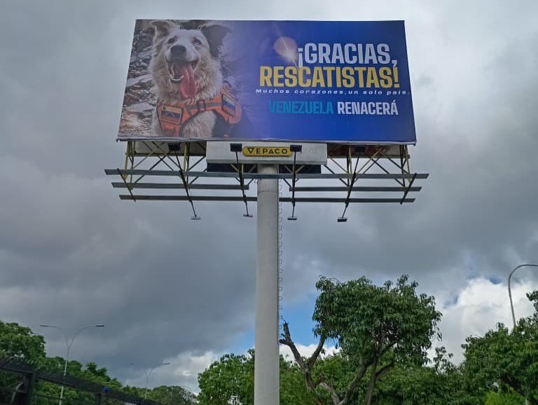 madeleintlSUR's tweet photo. Así Venezuela agradeció a los rescatistas internacionales y sus perritos por ayudar al pueblo de La Guaira. https://t.co/XXQtwGcUDV
