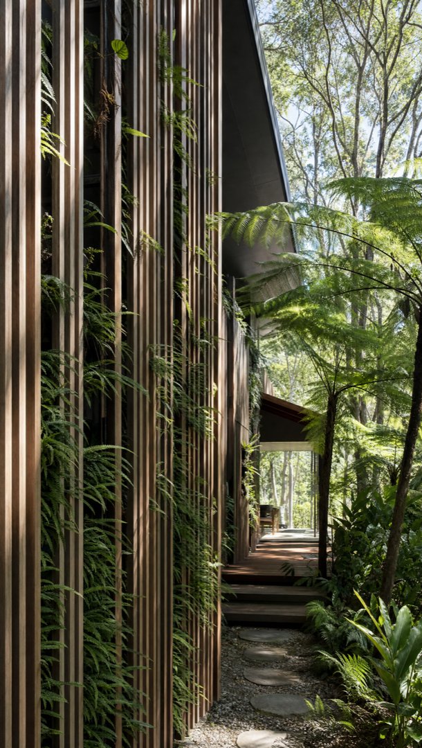 giantAptyltd's tweet photo. 🌿 Timber & Fern House
Nature meets modern Australian architecture. Biophilic homes for healthier living.
#BiophilicDesign #AustralianArchitecture #GreenArchitecture #SustainableDesign https://t.co/StRNddaur1