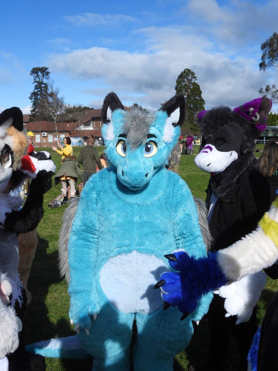 grumpy_shep tweet picture