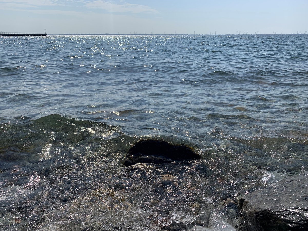 akimboart's tweet photo. 🌿 Call for Submissions: Edge Conditions Photography @ Video Wall at the Canada Council for the Arts, Ottawa. The Art Bank invites submissions of photos that capture edge conditions from coast to coast to coast. Deadline: July 30, 2026. More info: https://t.co/dzDeUvwjhx https://t.co/FZ0ZIq7IOP