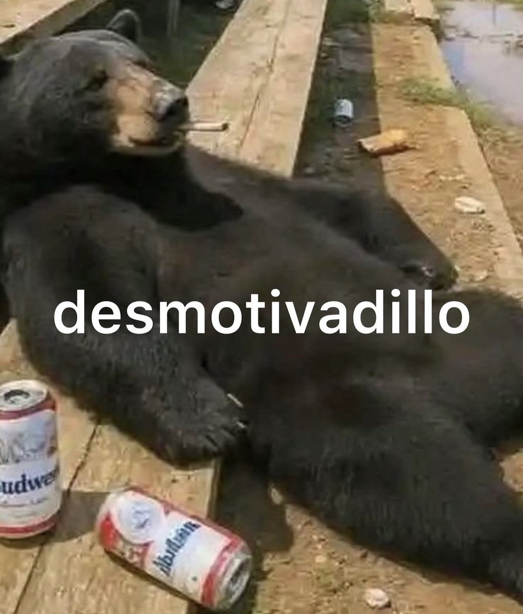 conoloracigarro's tweet photo. https://t.co/kWzwexsdZt