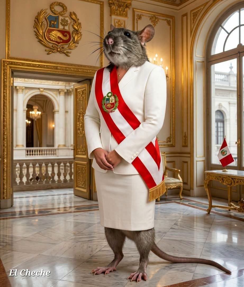 Fraudeou's tweet photo. @Oswaldoconfe https://t.co/dKNn68inpM