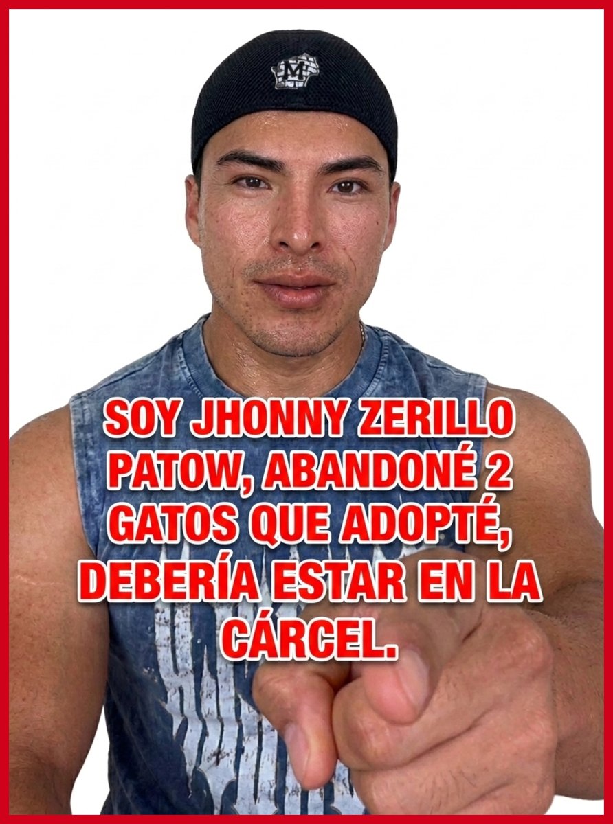 ALCOPERU's tweet photo. #ATENCIÓN otro MAL ADOPTANTE. #CUIDADO  𝗝𝗛𝗢𝗡𝗡𝗬 𝗭𝗘𝗥𝗜𝗟𝗟𝗢 𝗣𝗔𝗧𝗢𝗪 (Jhonn Patzer) entrenador en Smart Fit de San Miguel, Lima, adoptó 2 gatitos y luego de un tiempo los abandonó en Parque Kennedy, uno se perdió. + Info:  https://t.co/eGJC32nOnb EL ABANDONO ES DELITO. https://t.co/V8iF6RsZL2