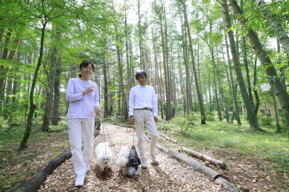 STAYWITHDOG's tweet photo. ★ペットと泊まれる宿・新着の感想☆蓼科高原・ゆとりろ蓼科ホテルwith DOGS(176件)☆https://t.co/8OySEaluVh https://t.co/SbIJTwdJIO