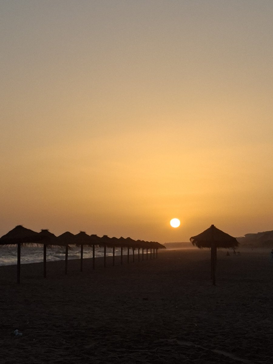 ManzanasFujis's tweet photo. Yo voy a cambiar de playa "enseguía".
#Verano26 #Parador #Mazagon #Naturaleza #Vida https://t.co/RvQlWUcCdx