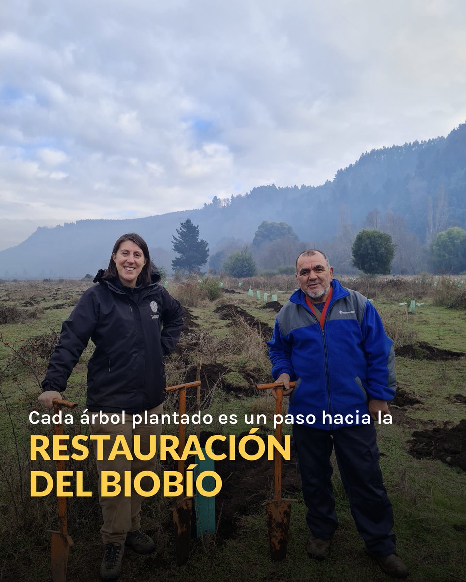 Fundación Reforestemos tweet media