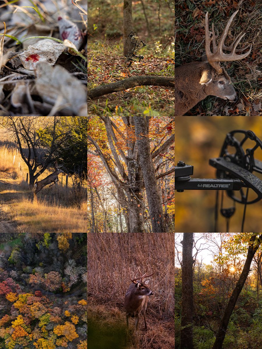 Realtree's tweet photo. Every pattern has a purpose. Every season has a story. Every hunt starts with Realtree.

#Realtre https://t.co/8sfQybQl32