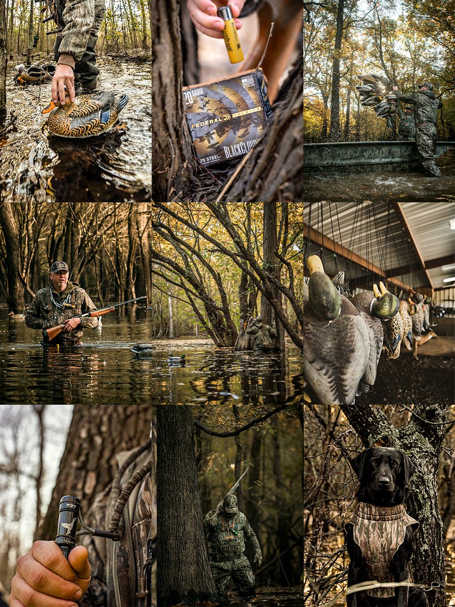 Realtree's tweet photo. Every pattern has a purpose. Every season has a story. Every hunt starts with Realtree.

#Realtre https://t.co/8sfQybQl32