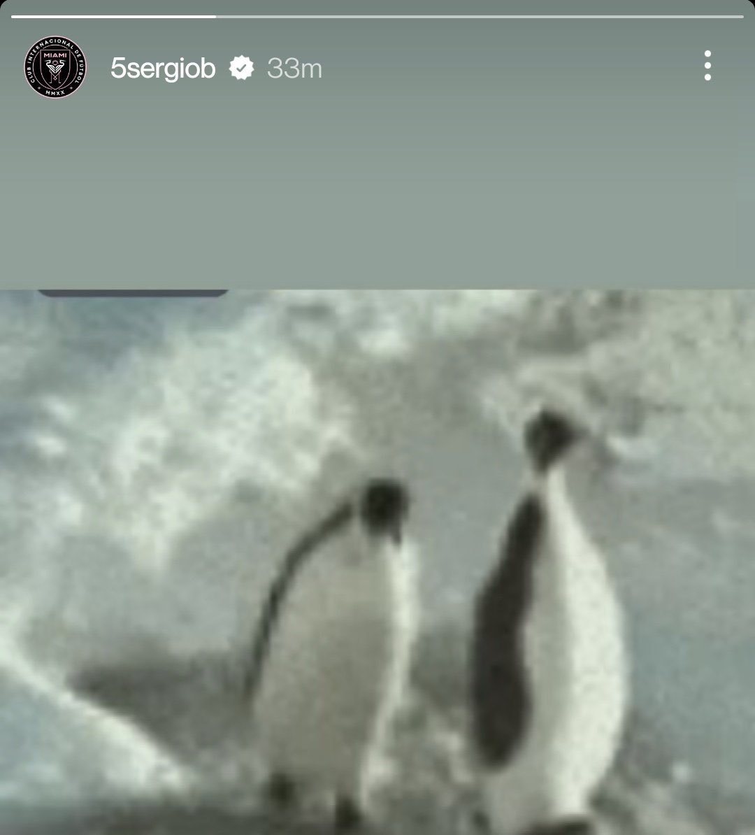 FCB_nenn's tweet photo. Recordáis cuando Busquets subio un pingüino cuando Hakimi fue eliminado😭 https://t.co/eKgDN3vuPN