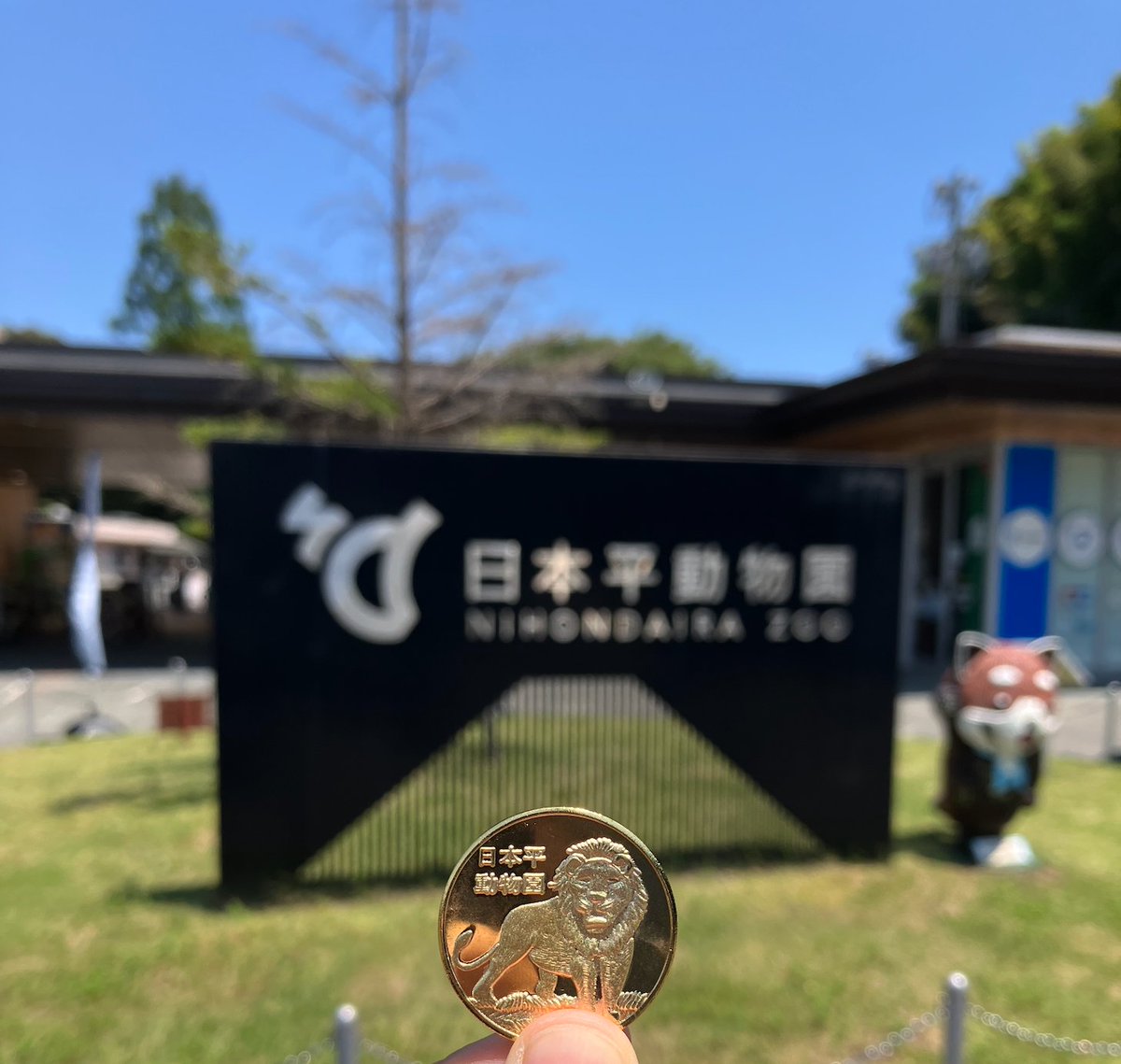 ichidoc's tweet photo. 2026.07.09
記念メダル: 日本平動物園
販売場所: レストハウス・ショップ ふれあい動物園前（有料エリア）

エントランスから入ると、園内一番奥のショップ前にメダル機あり。
昔ながらのデザイン。The 記念メダル。

種類が多かったけど、直感で一番かっこいいと思ったライオンを調達。 https://t.co/2dE7E3Iyld