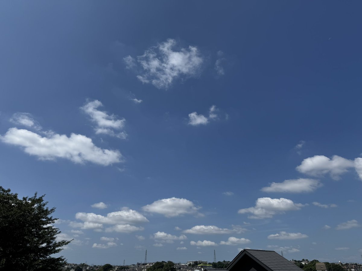 kawatomororo's tweet photo. おはようございます☀

今日はろろの月命日です。

ろろがお空に行った季節になると気持ちが落ち込み、いつもに増して涙脆くなるこの現象には「記念日反応」という名前がついているそう。

命日が過ぎると落ち着くとわかっていますが、辛いですね…😢

#羽生クラスタ空部
#秘密結社老犬倶楽部天国支部 https://t.co/WCQPILfl2E