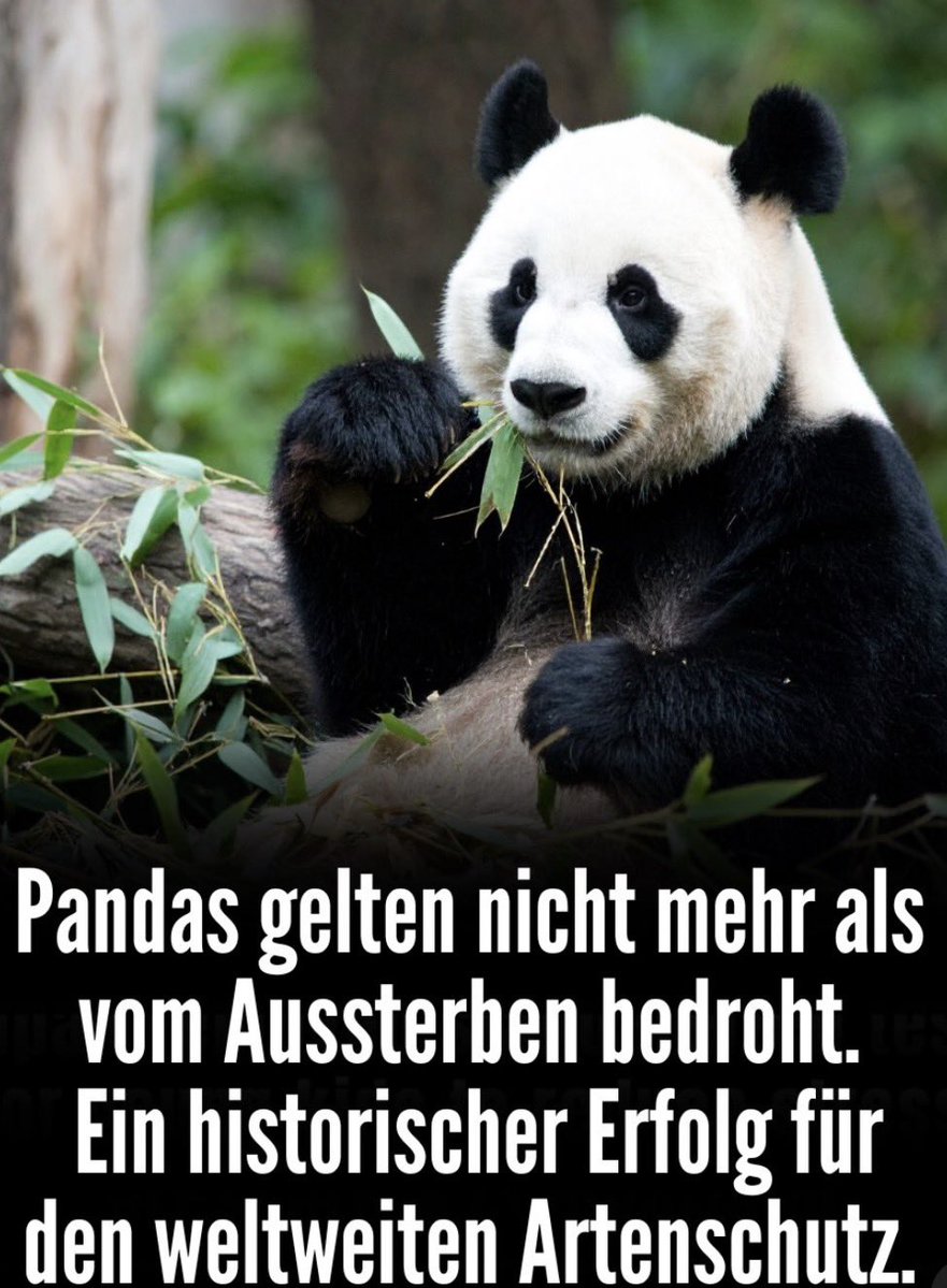 Bit_Wagner's tweet photo. @kaninchenbau21 https://t.co/5IPm1XRgCn
