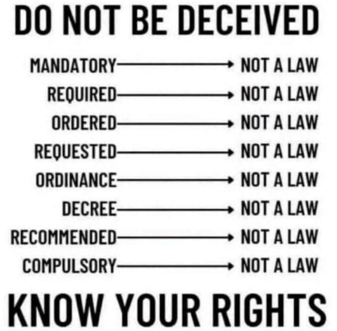 DavidWolfe's tweet photo. https://t.co/bvjuEQpAcG