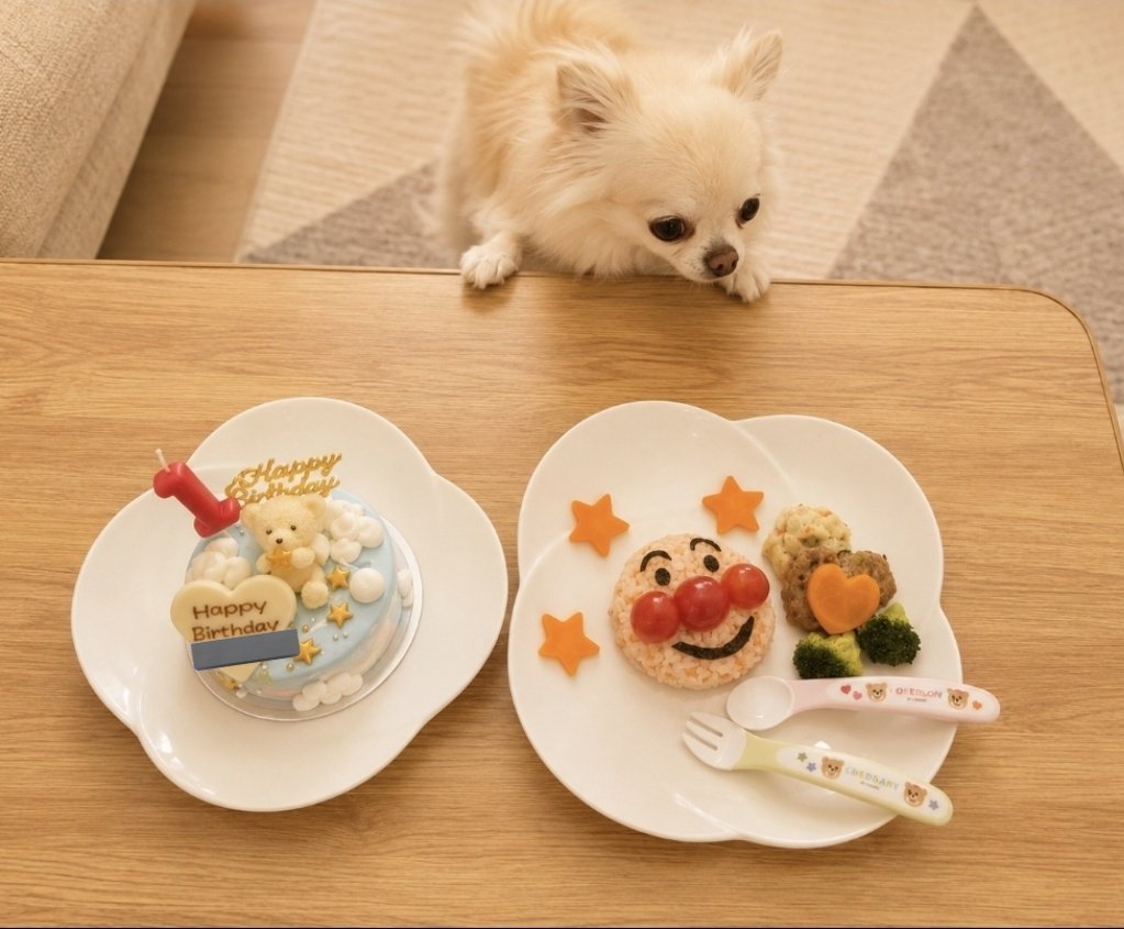 M_m_LGBT's tweet photo. お誕生日の飾り付けを見るなり 指さししてテンション爆上がりの1歳さん✨⸜(* ॑꒳ ॑* )⸝✨連日のお熱なんてなんのその！こんなにも喜んでくれるの？！ってくらい、大きな声で大興奮。オマケにソファによじ登ろうとする始末 笑。（深夜に飾り付けをした甲斐があった！）

おかげさまで沢山の方々から多くの愛情を受け無事に1歳を迎えることができました。

1歳さんとはお腹の中に居る時も合わせたら約2年近くのお付き合いになりますが 人間関係としては始まったばかりです。何卒、朝は6時半頃に起きて頂けないでしょうか？どうか、これからも末永く宜しくお願いします！と話し合いつつ指切りげんまん♪̊̈♪̆̈

Happy  birthday🧸♡
生まれてきてくれてありがとう。
日々、ママを強くしてくれてありがとう°・*:.。.☆ Love♡♡♡
