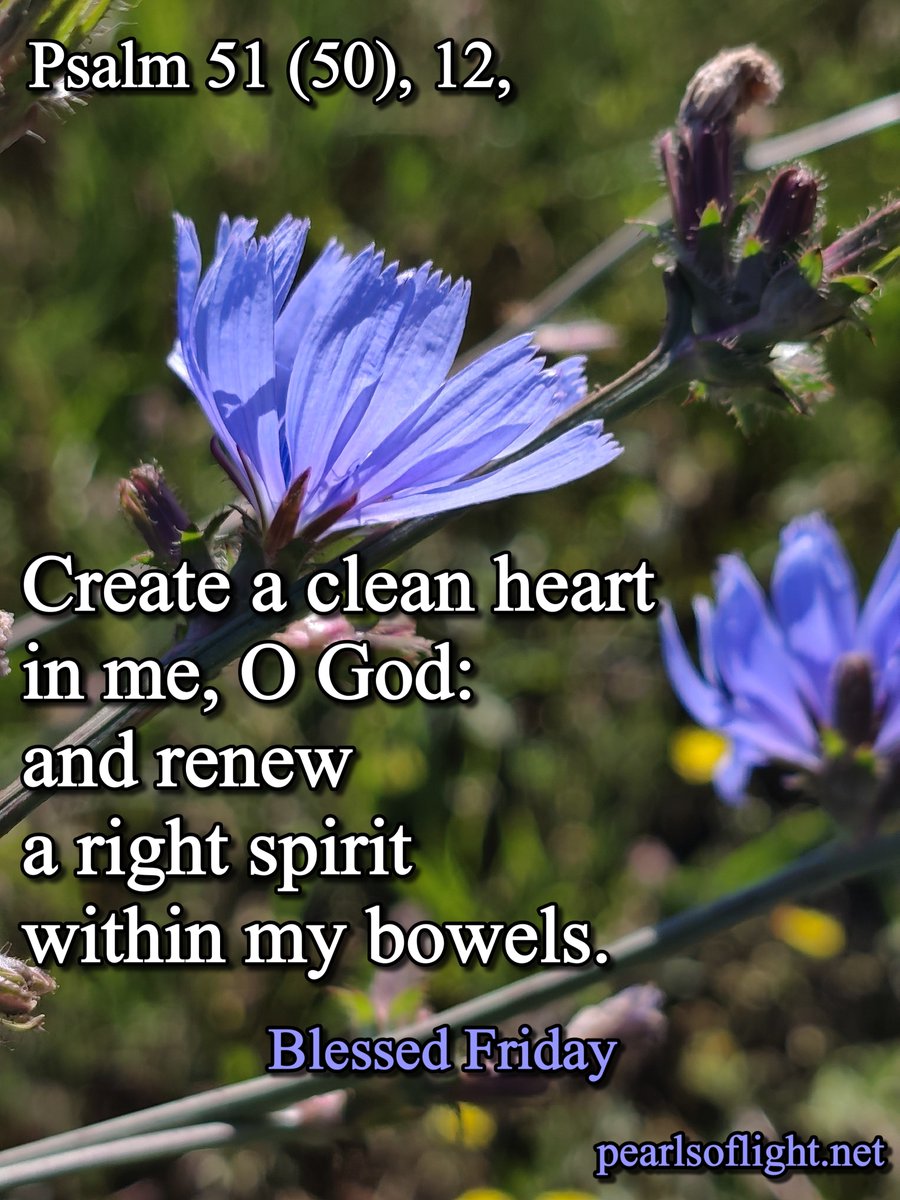 PearlsoflightN's tweet photo. Good Morning😊♥️
#Blessingofaday https://t.co/QQLyTTxZPv