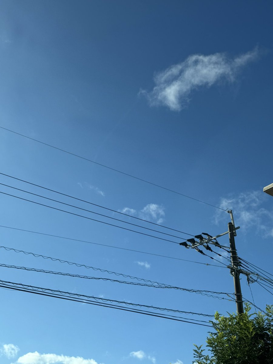 smworld_sm's tweet photo. 爽やかすぎる姶良市の朝 https://t.co/1IVADWeXCL