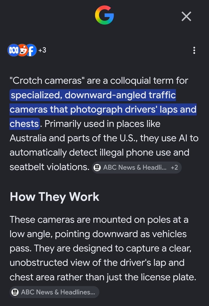 Florida's Cape Coral Rolls Out AI-Powered Surveillance on Garbage Trucks for Code Enforcement Florida's Cape Coral Rolls Out AI-Powered Surveillance on Garbage Trucks for Code Enforcement