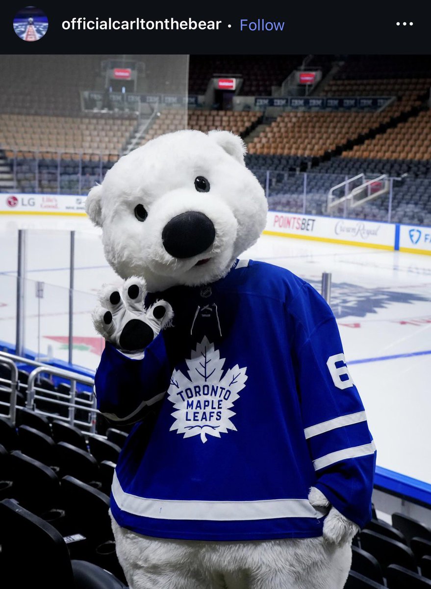 logopatt's tweet photo. 🚨Carlton the Bear announces via instagram that he has been let go by the Toronto Maple Leafs.

“I am forever grateful for the opportunity to be your bear.”

Chayka and Sundin really cleaning house today… https://t.co/ZpYKo1kVn3