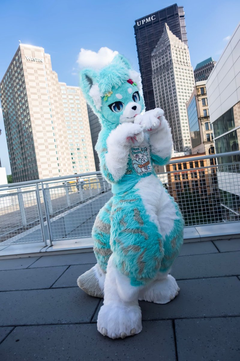 PixelFluffer's tweet photo. the best kitty in the whole city :3 https://t.co/2xgczCoqqC