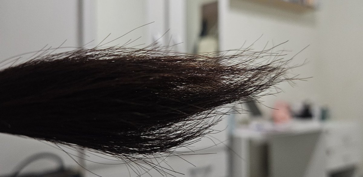 itbluez's tweet photo. vou comprar uma tesoura profissional e dale
imoral ter so isso de cabelo nas pontas https://t.co/B9rlhY3GeD