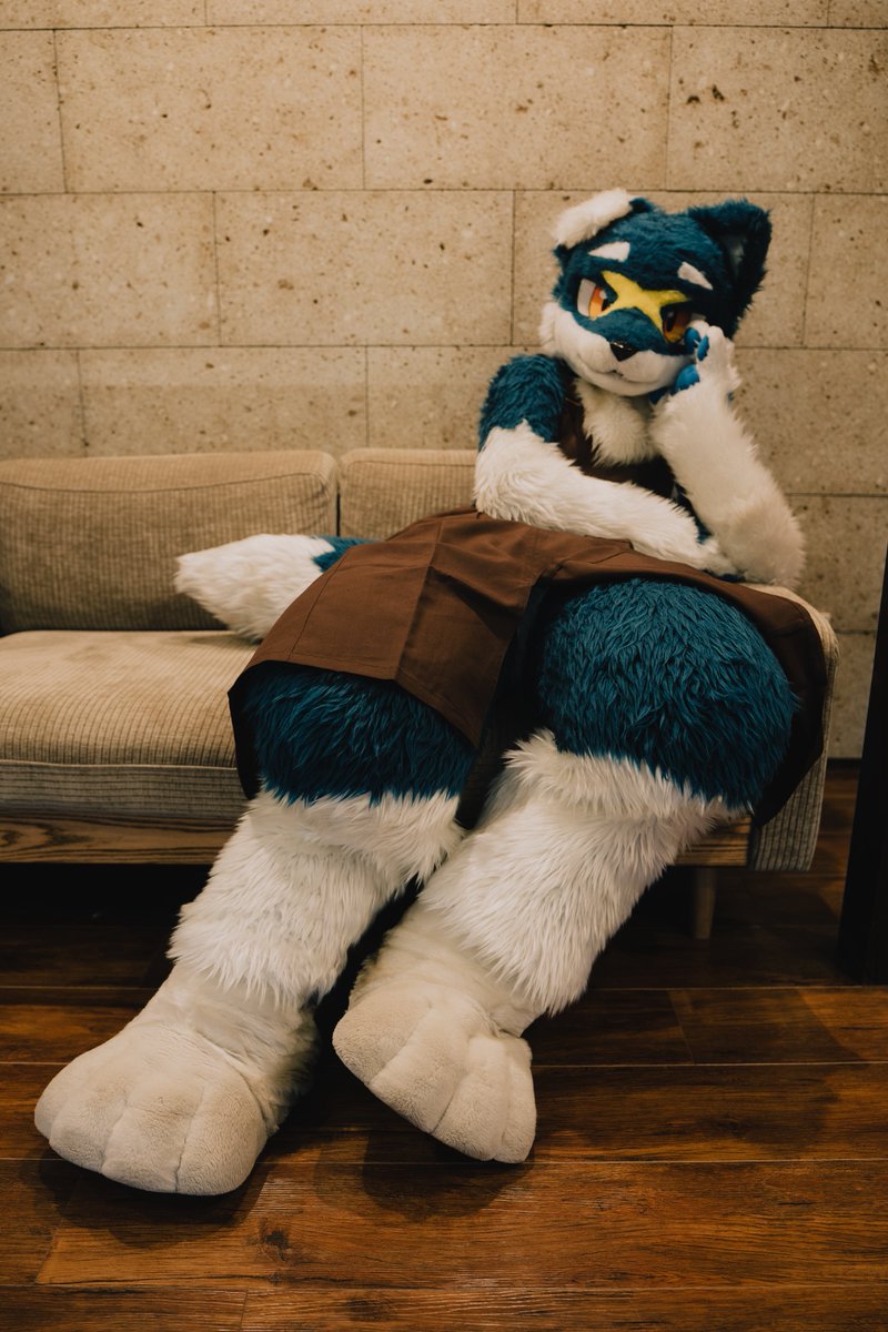 mofzof's tweet photo. #Fursuitfriday https://t.co/hha40i1ZqF
