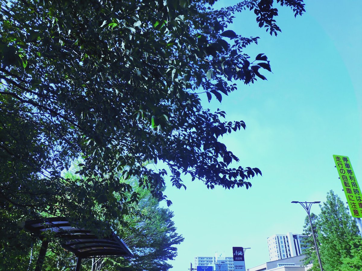takatomohappy29's tweet photo. おはよう ございます
ほんのり気持ちの軽い金曜
全ては明日の休みのおかげ
そつなく凌ぐ つつがなく✨️

 #7月10日 #金曜日 #晴 #水無月 #悪くない #朝 #空 #イマソラ #見上げて思う #写真 #仙台 #Love仙台 #キリトリセカイ #写真と言葉 #ファインダー越しの私の世界 #わたしの見ている每日 https://t.co/k14mtbsXGa