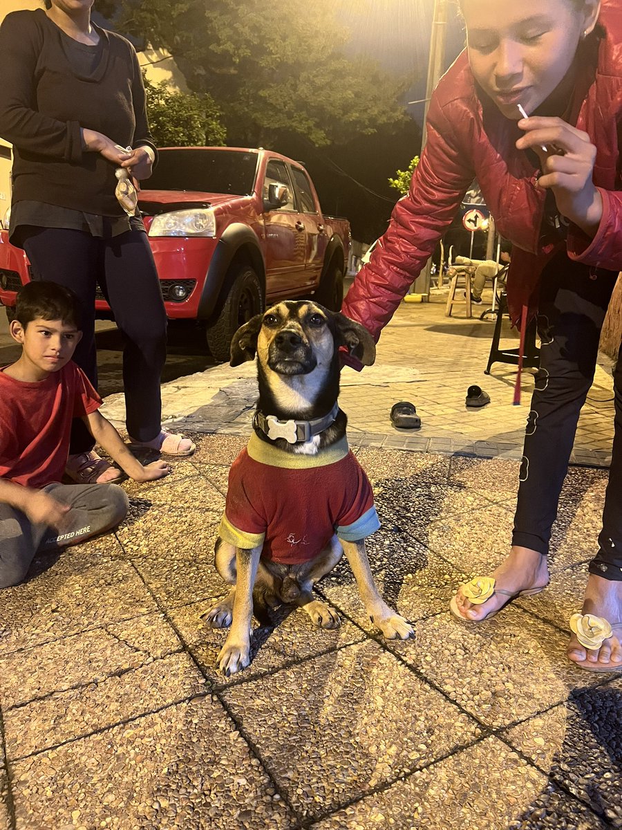 ForcadoKaren's tweet photo. Este perrito cachorro fue encontrado zona ex clínica Sajonia está bien cuidado y busca a su familia le encanta los niños +595 987 365302 https://t.co/cO4WofOkxh