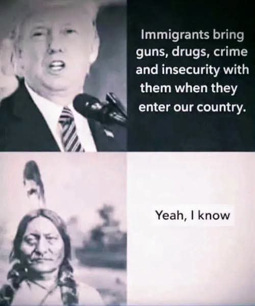Native American Chief tweet media