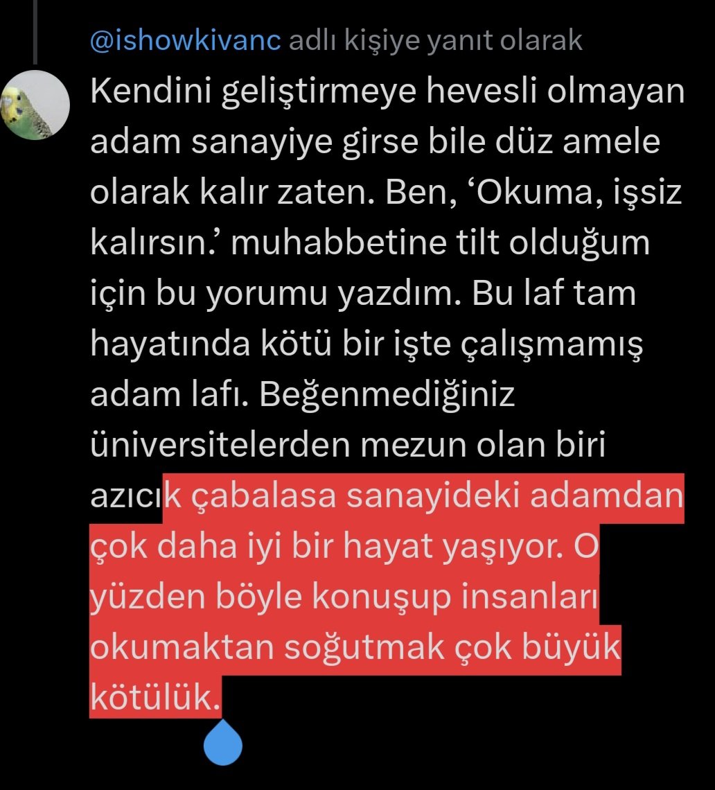 Cicikush03's tweet photo. @ishowkivanc https://t.co/kw1KV4BXLC