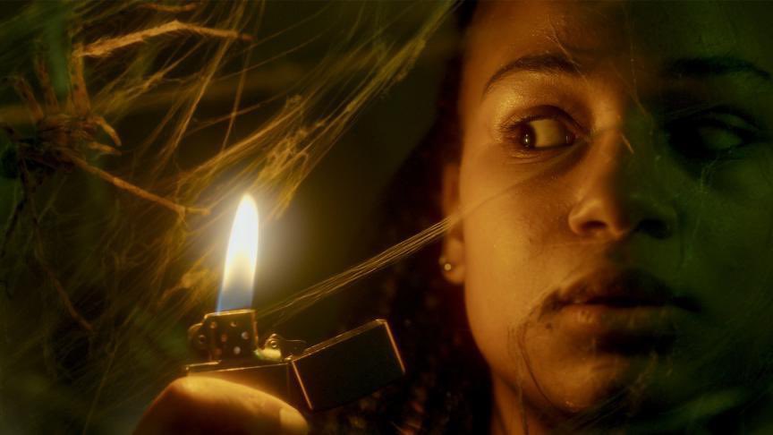 smkainn's tweet photo. before Evil Dead Burn don’t sleep on Sebastien Vanicek’s terrifying first movie INFESTED. One of the gnarliest, scariest spider horror movies I’ve ever seen https://t.co/1Hy9OZTY8Q