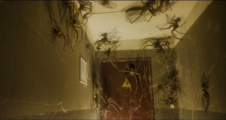 smkainn's tweet photo. before Evil Dead Burn don’t sleep on Sebastien Vanicek’s terrifying first movie INFESTED. One of the gnarliest, scariest spider horror movies I’ve ever seen https://t.co/1Hy9OZTY8Q