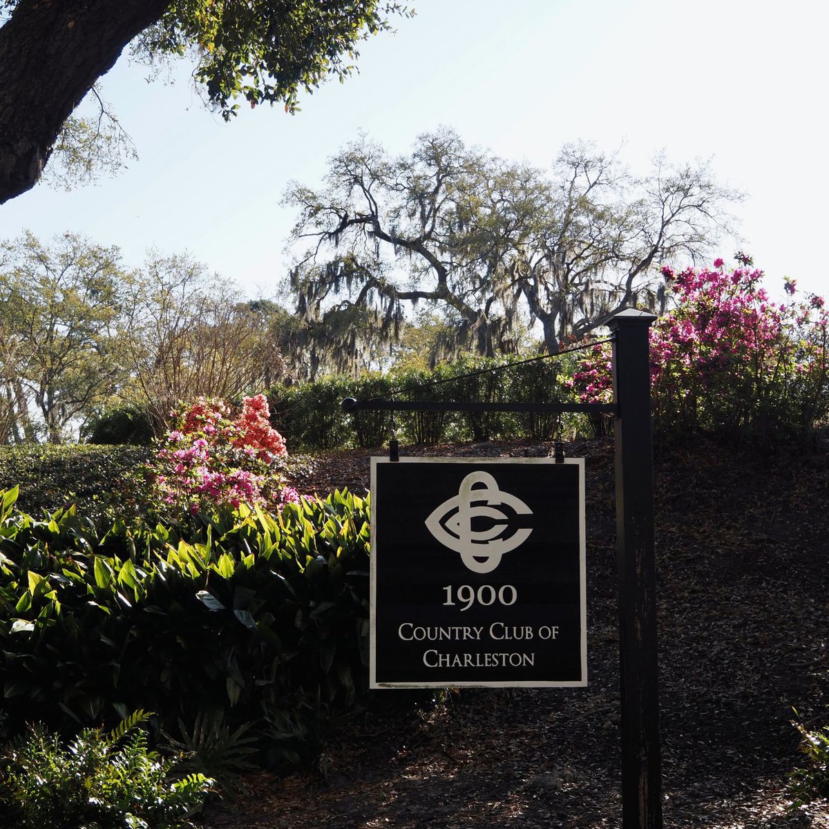 GolfedApp's tweet photo. Country Club of Charleston. 

Seth Raynor's Lowcountry masterpiece, home of the wild "Lion's Mouth" bunker. https://t.co/MEVWUqWsIh