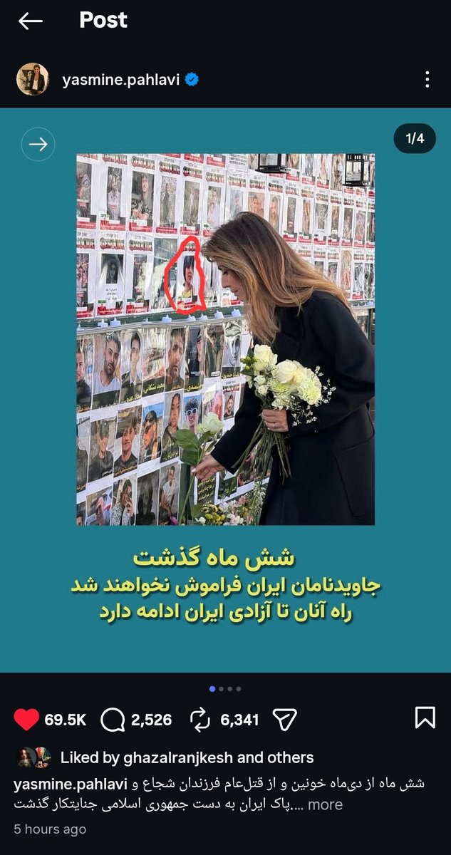 lkiwmll's tweet photo. قربونت برم من بچه کاش هیچوقت یه عکس روی دیوار نمیشدی💔
#پریماه_نیک‌پرور
#IranMassacre‌ https://t.co/nwH8k2v2Ck