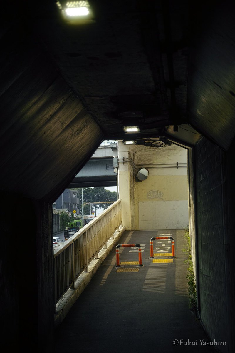 YasuhiroFukui2's tweet photo. 散歩
SIGMA dp3 merrill
#dp3m
#foveon
#SIGMA https://t.co/JYw8KkCV0o