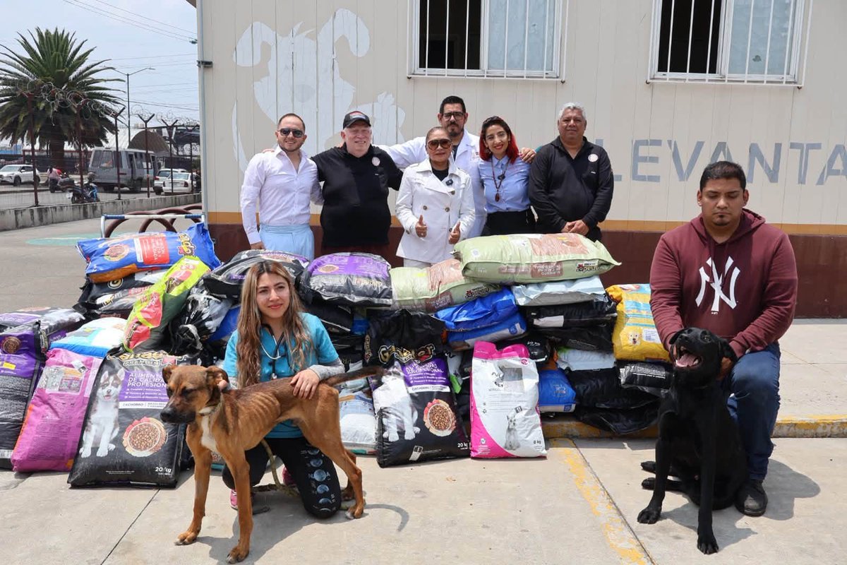 YoAmoaLaCiencia's tweet photo. 82 pesos diarios para alimentar animales: exhiben perro en los huesos durante entrega de donaciones

El 30 de abril, la Agencia de Atención Animal publicó a "Coqueto" como un perro listo para adopción, pero hoy el 9 de julio, el mismo perro reapareció durante una entrega de croquetas en el Hospital Veterinario.

Con las costillas marcadas y una condición corporal visiblemente más delgada.

¿Qué pasó en dos meses estando bajo el "cuidado" de AGATAN?

AGATAN reconoce en su informe anual que destina apenas 30 mil pesos al año para alimentar a los animales bajo su resguardo, es decir, alrededor de 82 pesos diarios. 

¿Esta es la razón de que esté en este estado? o casualmente dirán que estaba “enfermo”.

Las fotos y vídeo donde mejor se aprecia el estado del perro no fueron difundidas por AGATAN, sino por la diputada María Rosete, representante de Cuauhtémoc. 

La alcaldía que recibió el mayor número de jornadas y esterilizaciones de la AGATAN durante el último año.

El presupuesto de AGATAN lo propone Ana Villagrán, ¿Qué presupuesto decidió destinar para la alimentación de los animales bajo su resguardo? 

¿Qué ha hecho para evitar que lleguen a estas condiciones? 

¿Si no reciben donaciones de croquetas, de qué comen los animales que dependen de la AGATAN?