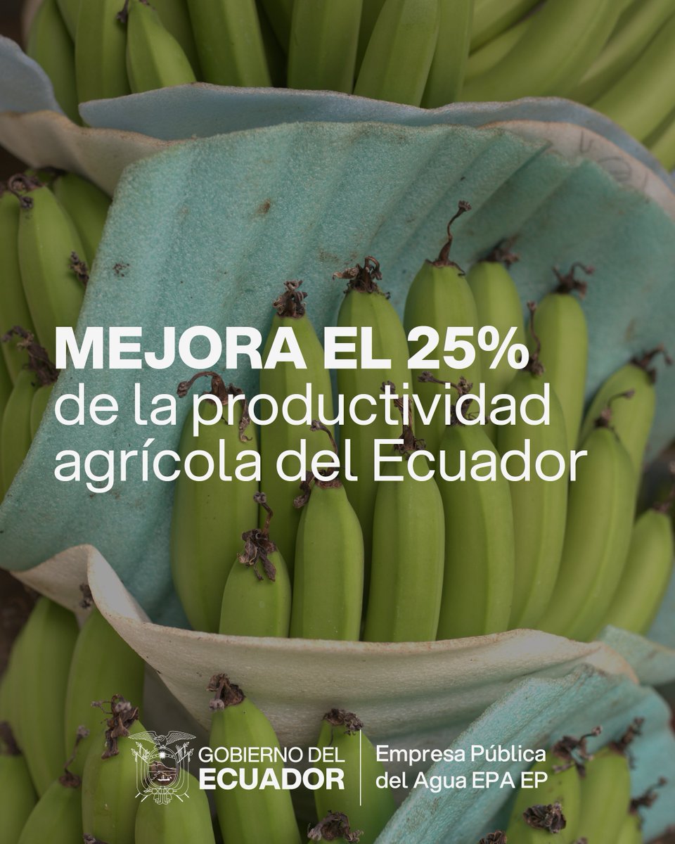 EmpresaaguaEc's tweet photo. Detrás de una agricultura más productiva también hay una gestión responsable del agua.  🌱💧 https://t.co/cabe3SCPFK