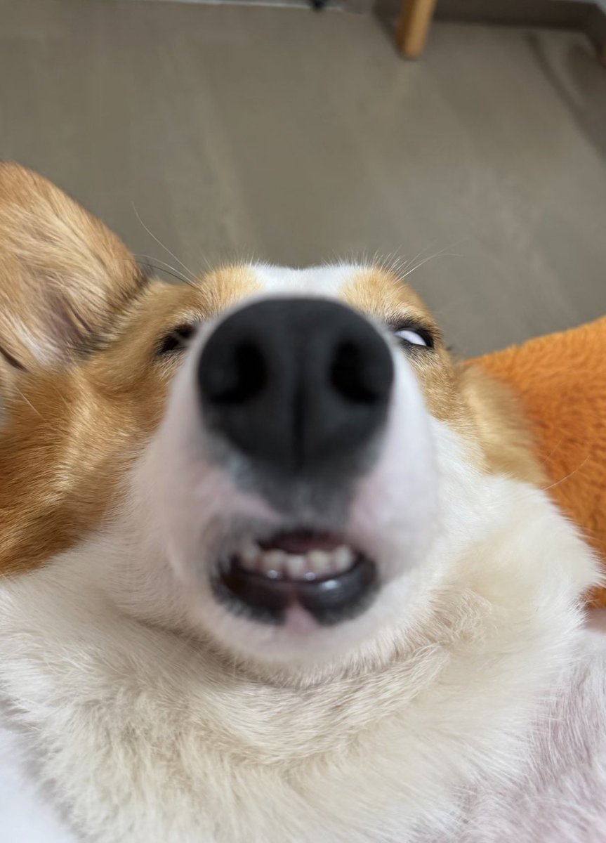 twaniimals's tweet photo. https://t.co/wJY426k6CW