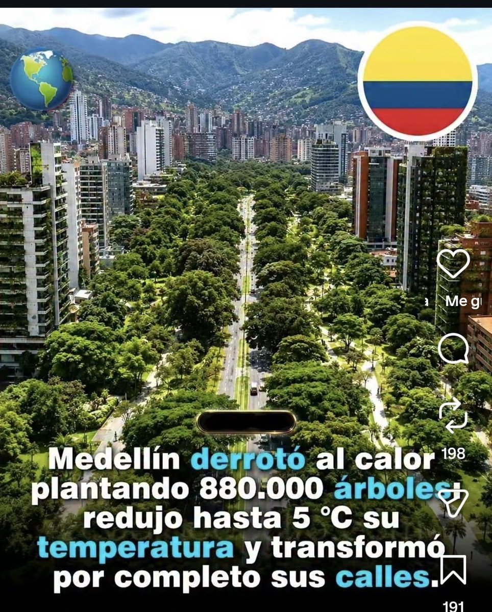 ChiChoLuna24RD's tweet photo. Mientras tanto Santo Domingo lleno de concreto y es más caribe que ellos, nosotros llenos de palmas que no dan sombra ni bajan temperatura. Aquí lo importante es el concreto 🙂😌 https://t.co/yzE8p9958J