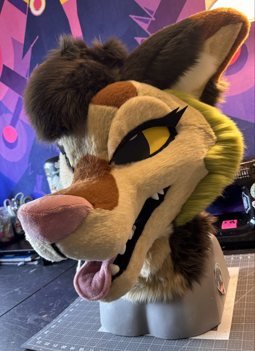 🌵Coyote Arcade🌵 tweet media