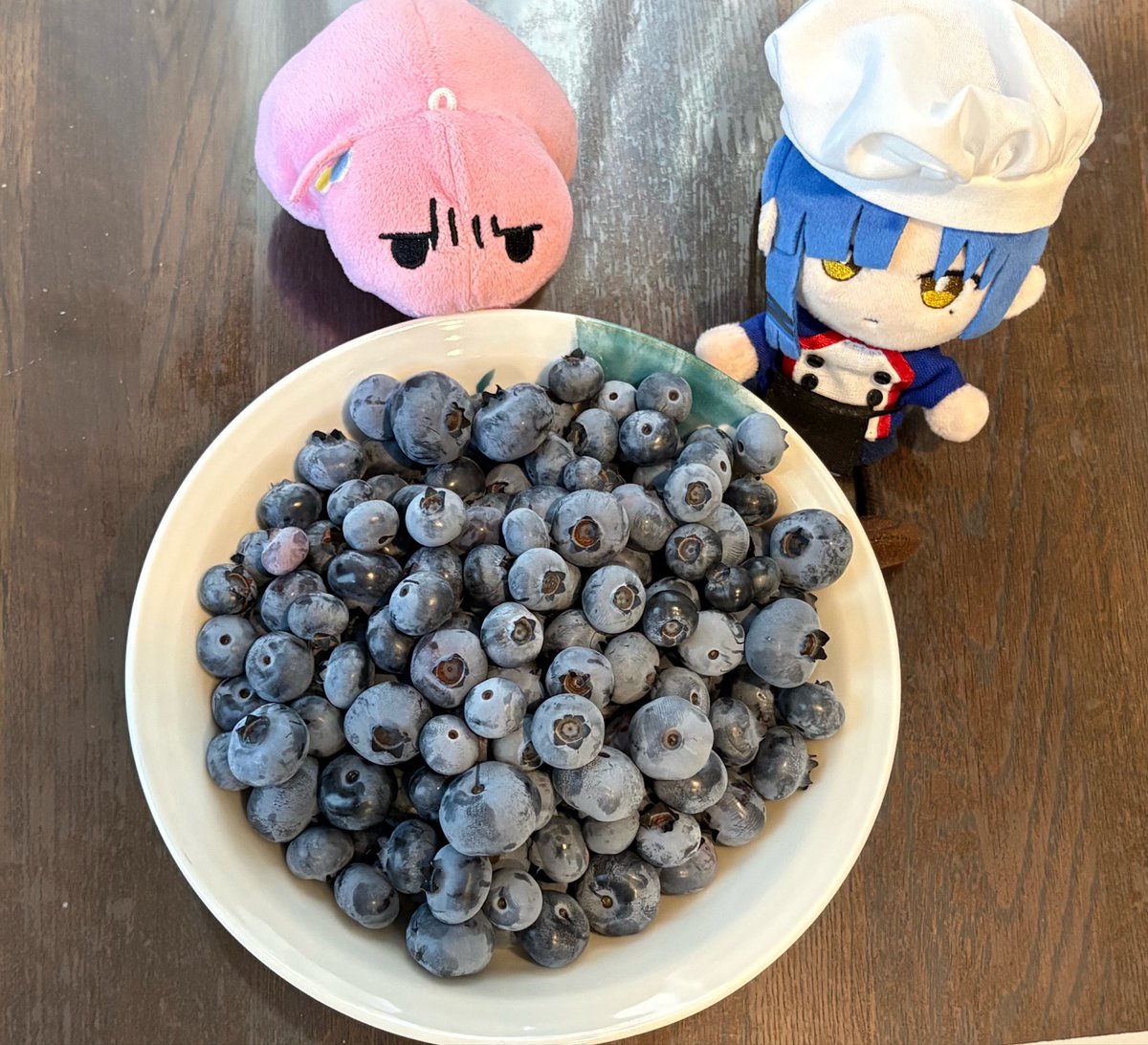 Unite_make_it's tweet photo. 今朝もブルーベリーいっぱい取れたね、ぼっち https://t.co/Kl5aJHLY1i