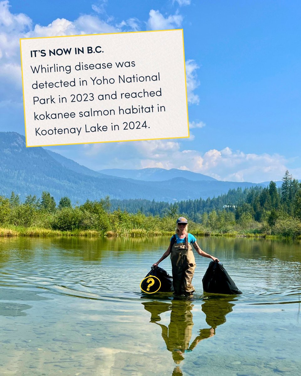 PACIFIC SALMON FOUNDATION tweet media