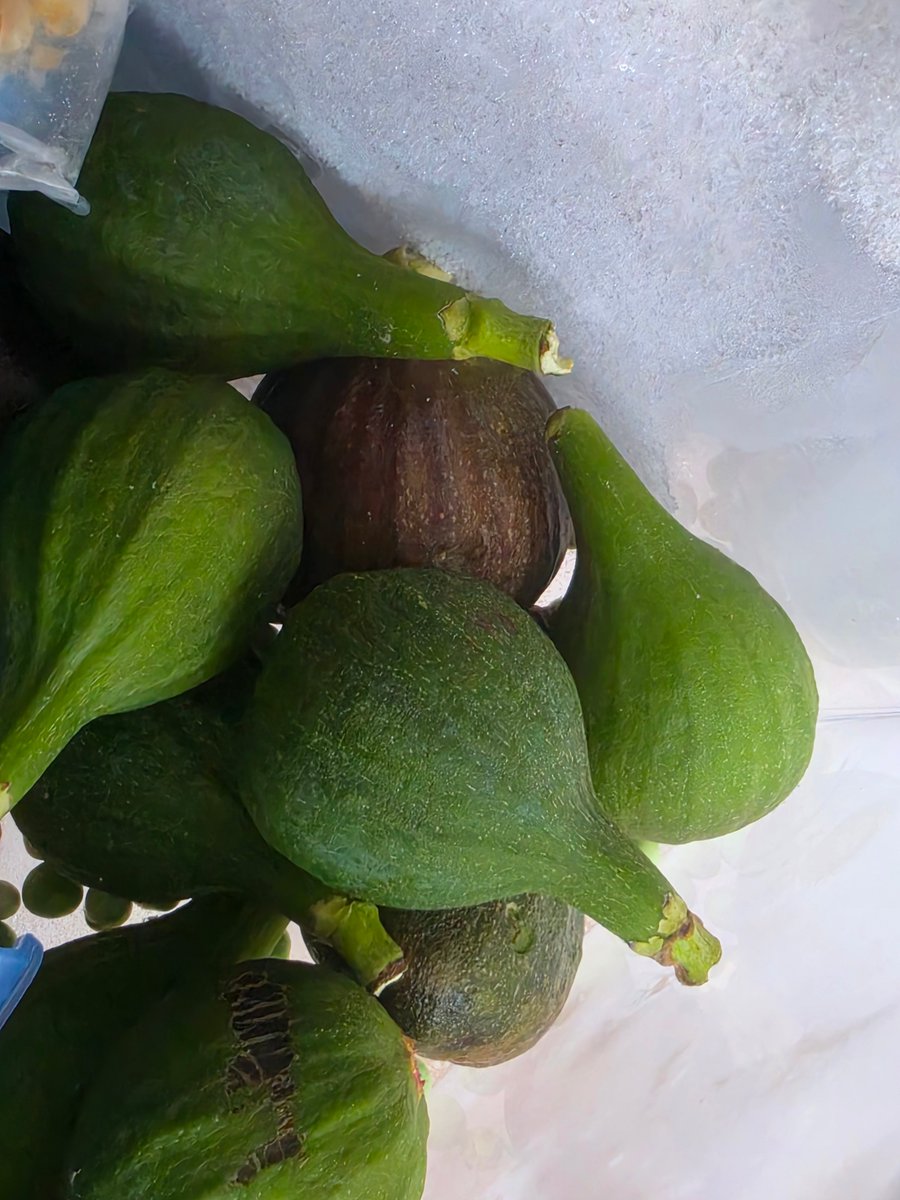 PaddyWorgo's tweet photo. Figs anyone? https://t.co/WpX5Y9c15u