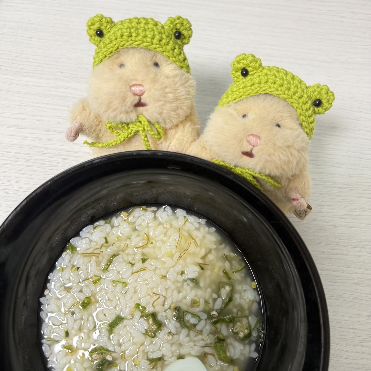 mfmf_nui's tweet photo. 🐹そうそう ちゃんと あさごはん たべないと げんき でないでちよ https://t.co/3BR9MuSrG9