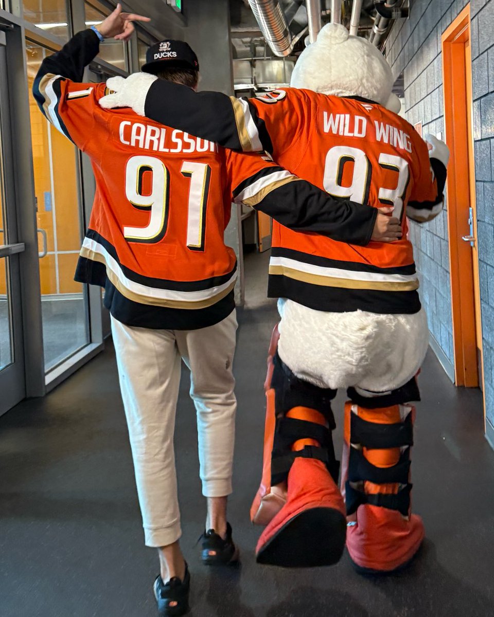 WildWingANA's tweet photo. live. laugh. leo 🧡 https://t.co/HUKAmT2QtQ