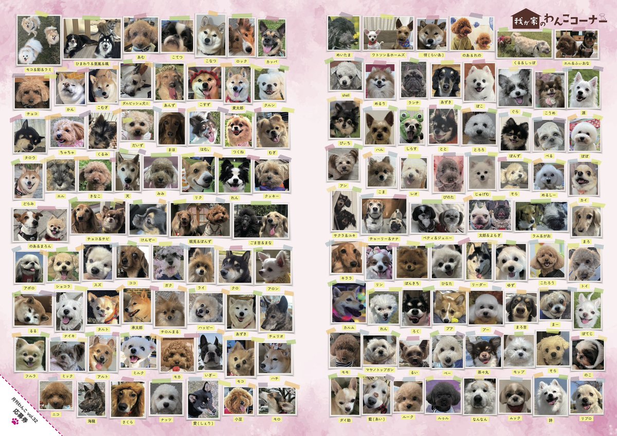 gekkan_wanko's tweet photo. 【当選者発表】
こちらの写真は月刊わんこvol.32『我が家のわんこコーナー』に掲載されています🐶㊗️🎊掲載されていたらリポストのご協力をお願いします👏

先行予約受付中！
▶︎通常版→https://t.co/5eH2tSarjt
▶︎Special Edition→https://t.co/CLVAG4JnxI

当選発表は画像をご確認ください📖
@TzhKYVA00Y60829
@tk8str__
@happyy237
@gurachan202613
@sho_okamo
@mofumofumiiilky
@ku___loy
@zippie_krstl
@_pinkwhiteblue_
@tara3392165640
@wanchan_mm
@rb_s7o