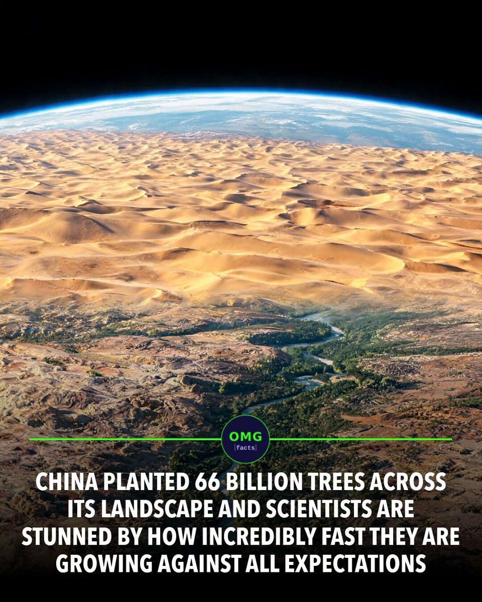 OMGFacts's tweet photo. 🌍 China planted 66 billion trees in the Gobi Desert.
Young forests are growing faster than models predicted.
The desert is losing.
Sources: Nature Comms, NASA Earth Observatory
#omgfacts #Reforestation #ClimateChange https://t.co/uDqsGn8DdT