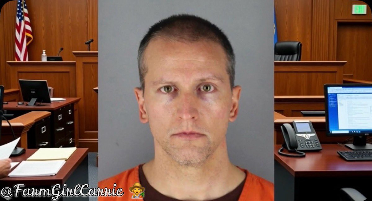 FarmGirlCarrie's tweet photo. Former Minneapolis police officer Derek
Chauvin has filed for a new trial in the death of George Floyd; alleging prosecutorial misconduct. 

Do you support this move? 🙋‍♀️ https://t.co/2J7BagXgll