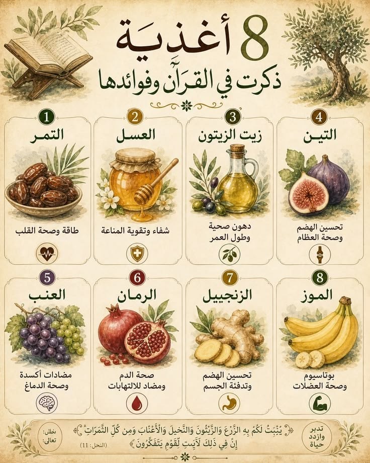 Tlqi8lpps9pgFPc's tweet photo. 📌8 أغذية ذكرت فى القرآن وفوائدها ‼️ https://t.co/bx61Hct2zJ