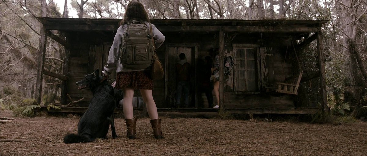 screenscaps's tweet photo. evil dead (2013) dir. fede alvarez https://t.co/yNGwtKycHJ